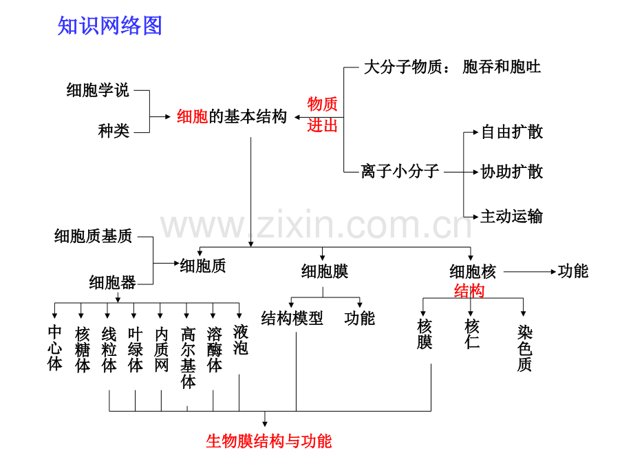 专题二-细胞的基本结构和物质运输.pptx_第2页