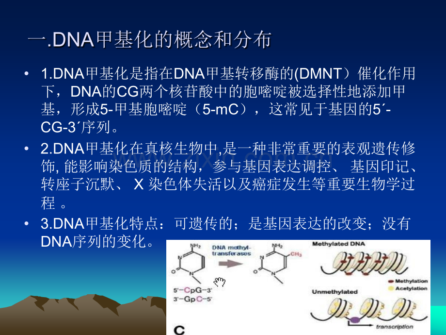 DNA甲基化对转录的影响概述.pptx_第3页