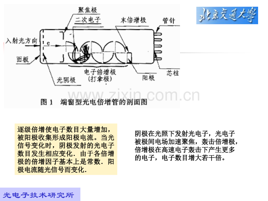 光电倍增光敏电阻.pptx_第1页