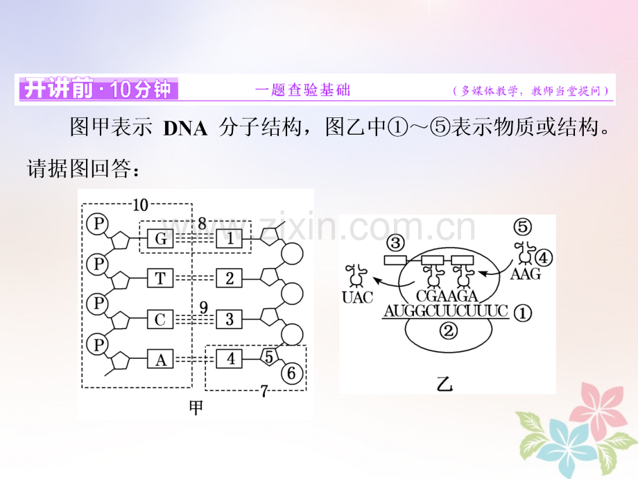 全国通用高考生物二轮复习专题三遗传串讲一遗传的分子基础时高考研究.pptx_第2页