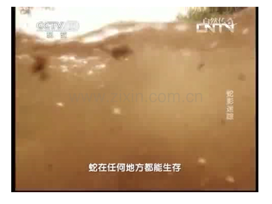 222-动物细胞融合与单体克隆抗体-高中生物人教版选修3-现代生物科技专题7797ppt-PPT课件.pptx_第1页