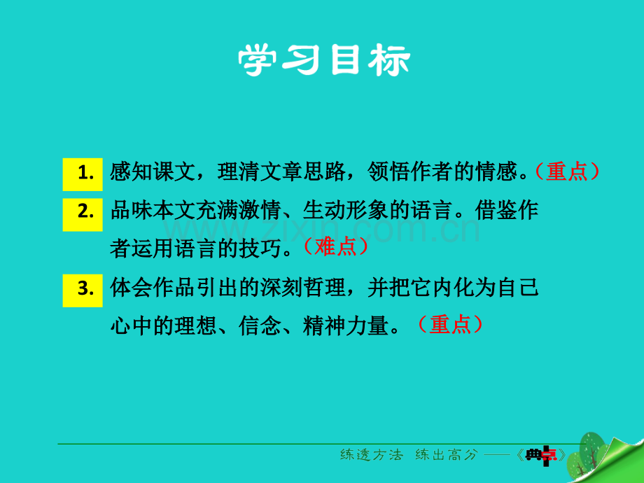 九年级语文下册地下森林断想新版新人教版.pptx_第3页