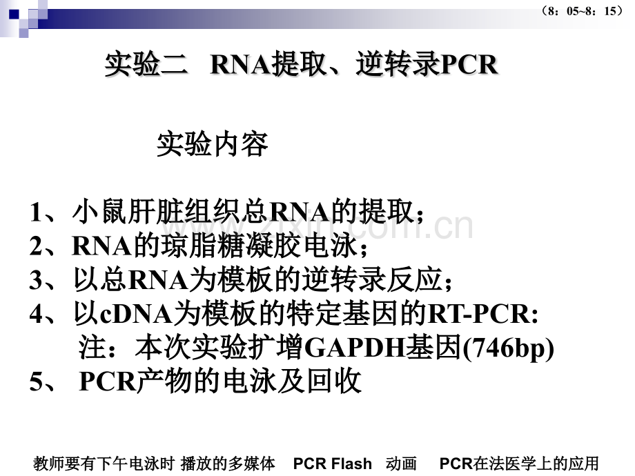 RNA的提取琼脂糖电泳及.pptx_第3页