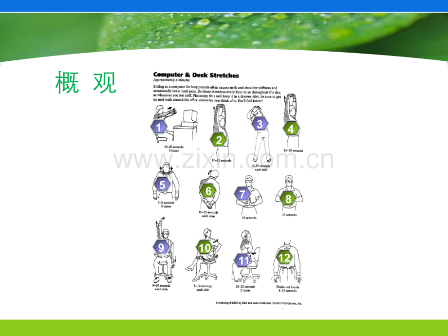 健康——办公室体操.pptx_第1页