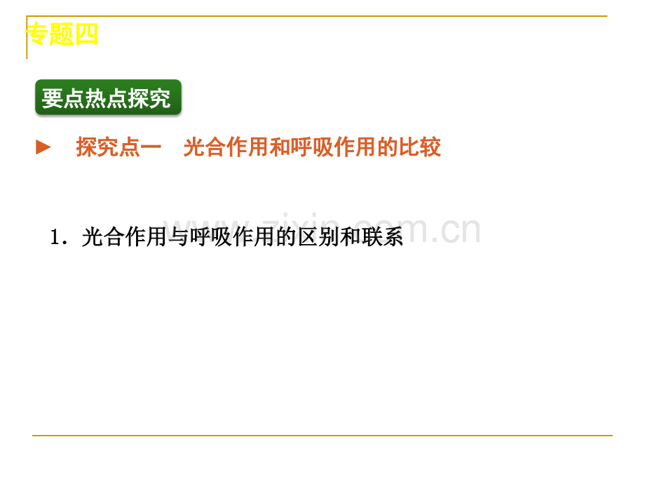 专题光合作用和呼吸作用.pptx_第2页