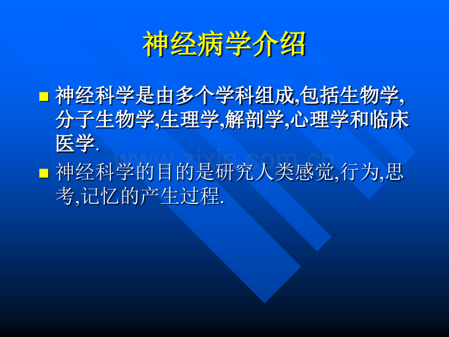 3神经系统定位和定性诊断总论.pptx_第3页