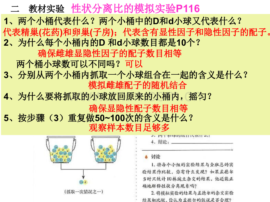 二轮遗传规律专题复习.pptx_第2页