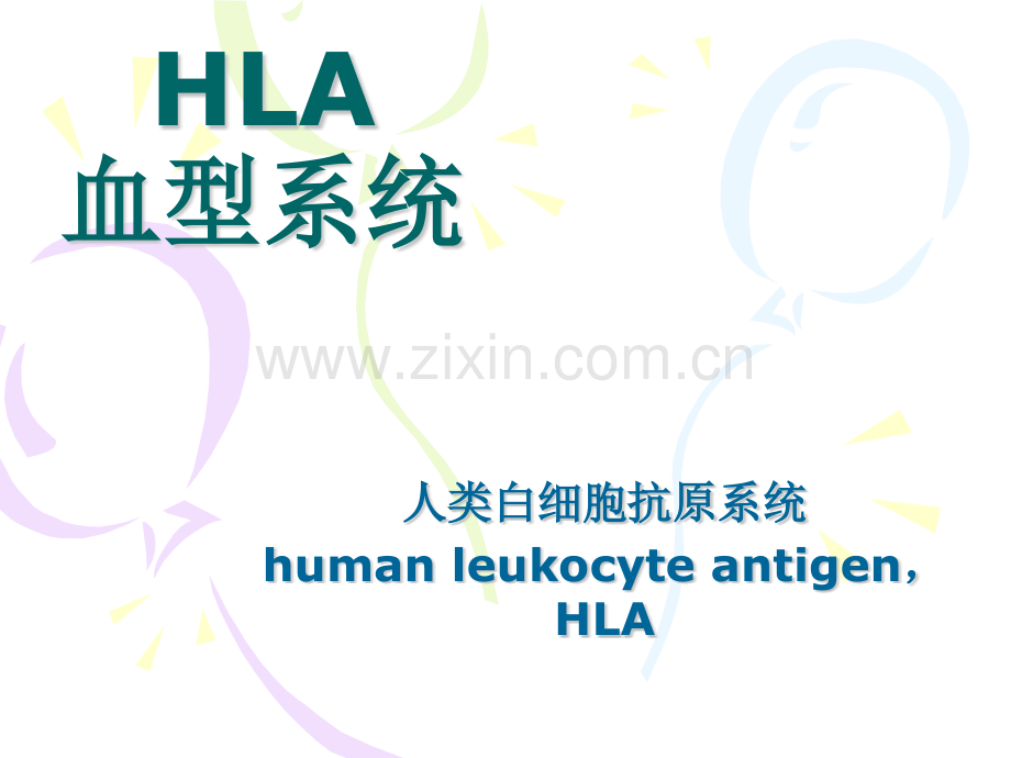 HLA-HPA血型系统.pptx_第2页