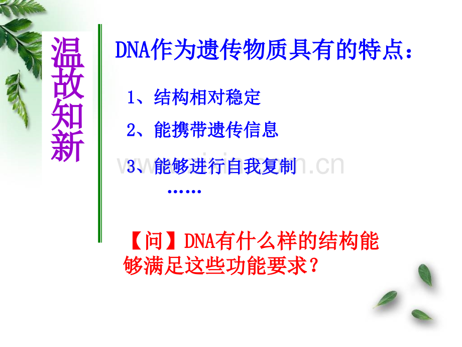 32DNA的分子结构.pptx_第2页