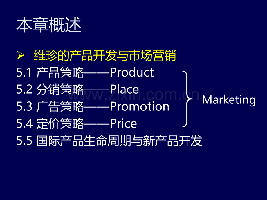 企业国际化运营中的市场营销与产品开发.pptx_第2页