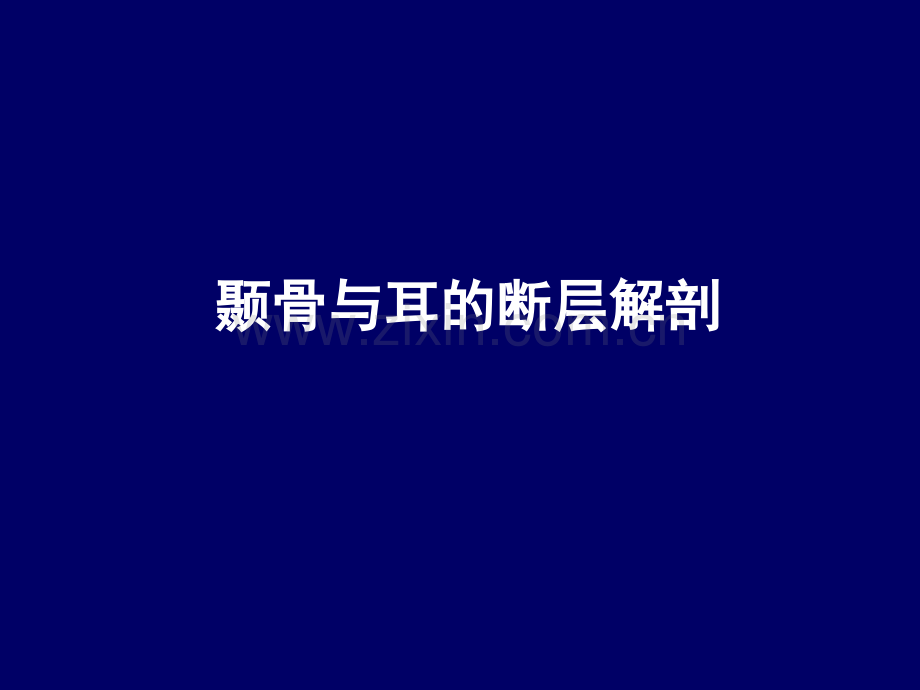 人体断层解剖学头部断层解剖7.pptx_第2页