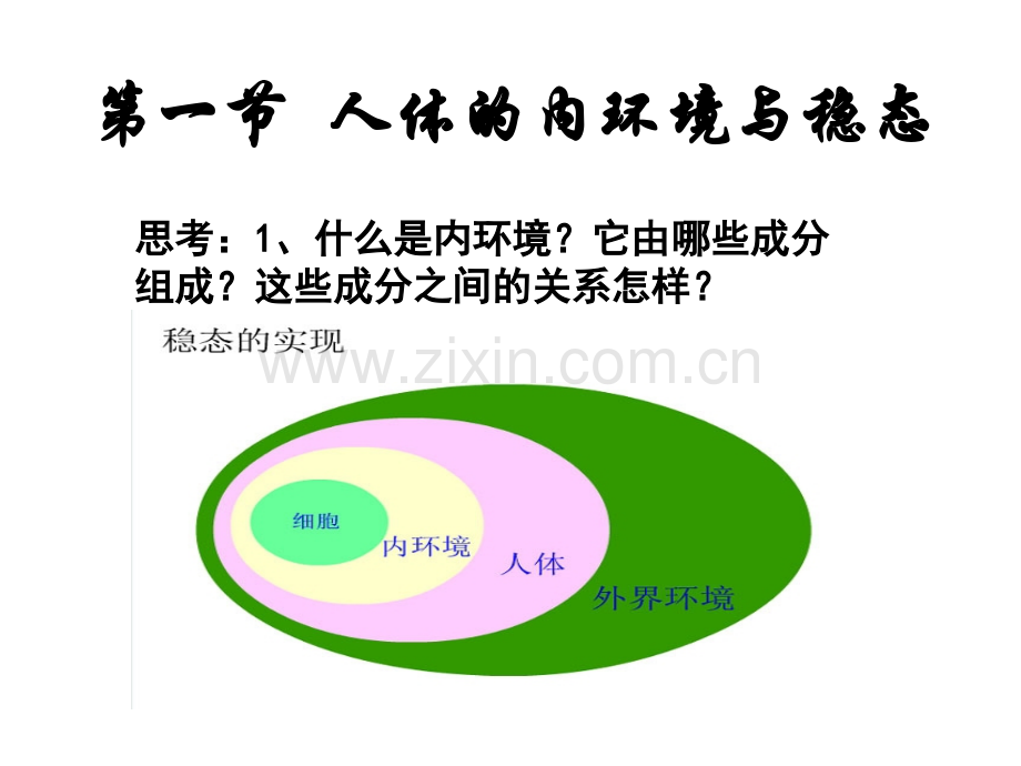 人教版内环境稳态复习.pptx_第2页