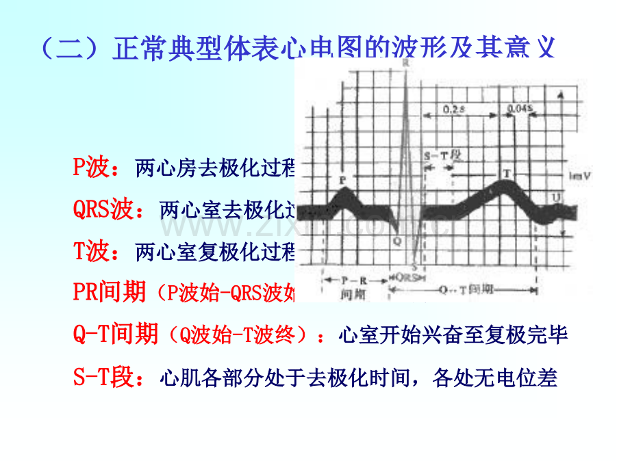 二体表心电图.pptx_第2页