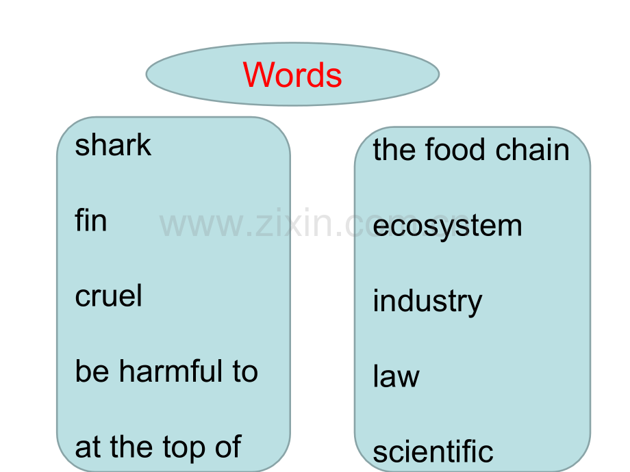 人教初三英语-Unit--Section-A--Save-the-Sharks.pptx_第2页