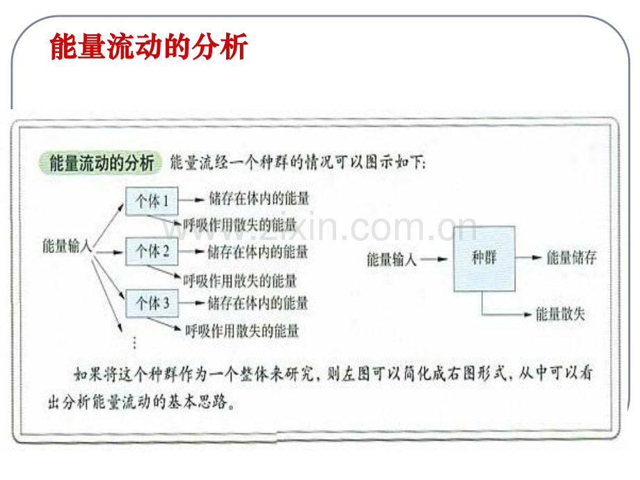 人教版教学必修三52生态系统的能量流动.pptx_第2页