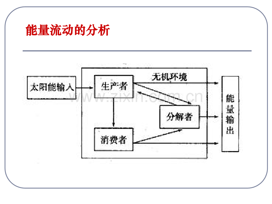 人教版教学必修三52生态系统的能量流动.pptx_第3页