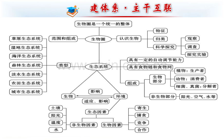 人教版七年级上册生物生物和生物圈复习.pptx_第2页