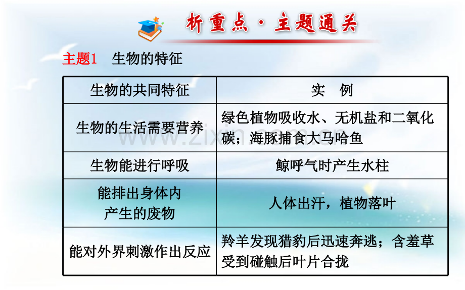 人教版七年级上册生物生物和生物圈复习.pptx_第3页