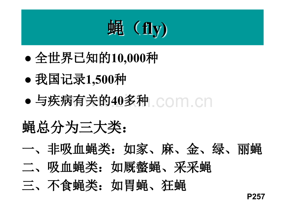 七年制节肢动物2.pptx_第2页