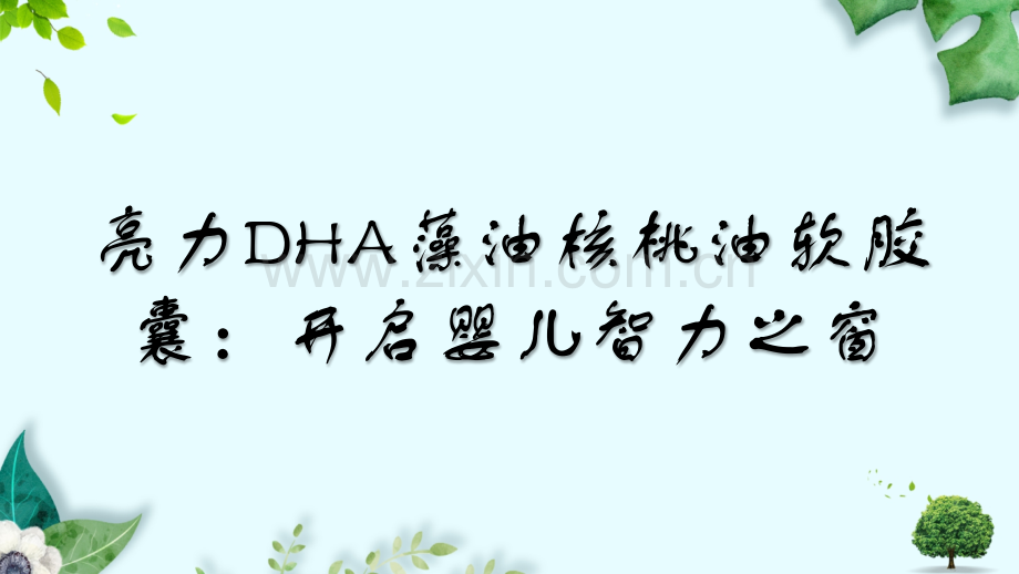 亮力DHA藻油核桃油软胶囊开启婴儿智力之窗.pptx_第1页