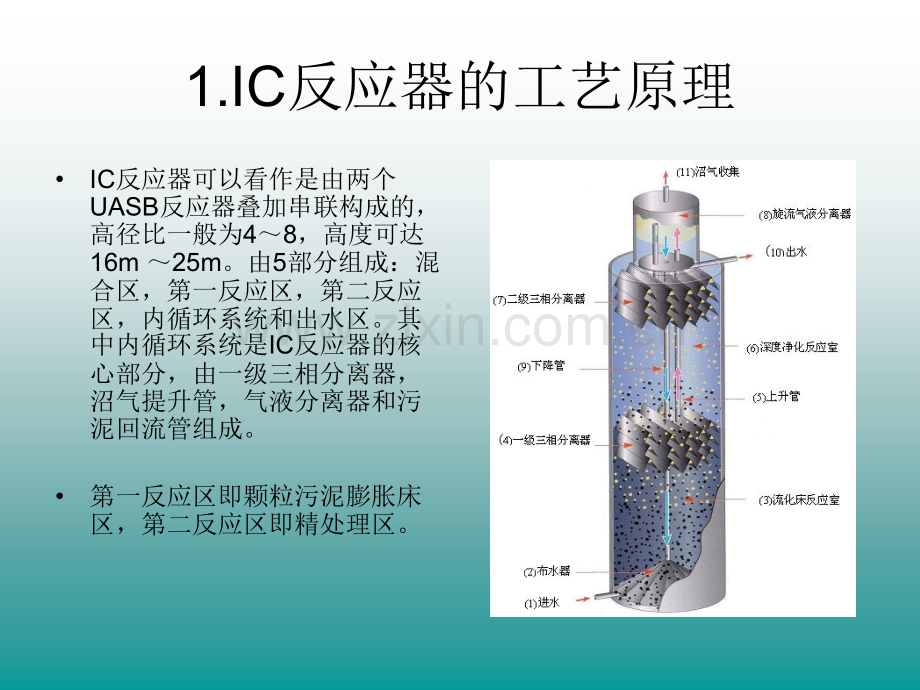 IC反应器的工艺原理及其在废水中的应用.pptx_第3页