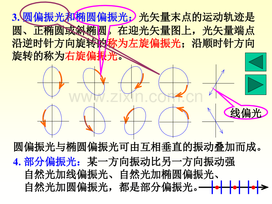 Ch光的偏振精讲.pptx_第3页