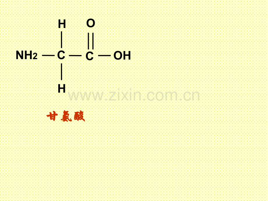 22生命活动的主要承担者蛋白质.pptx_第3页