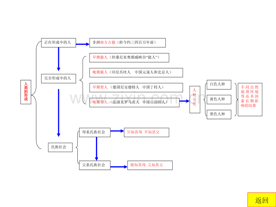 世界历史上册电子知识树.pptx_第1页