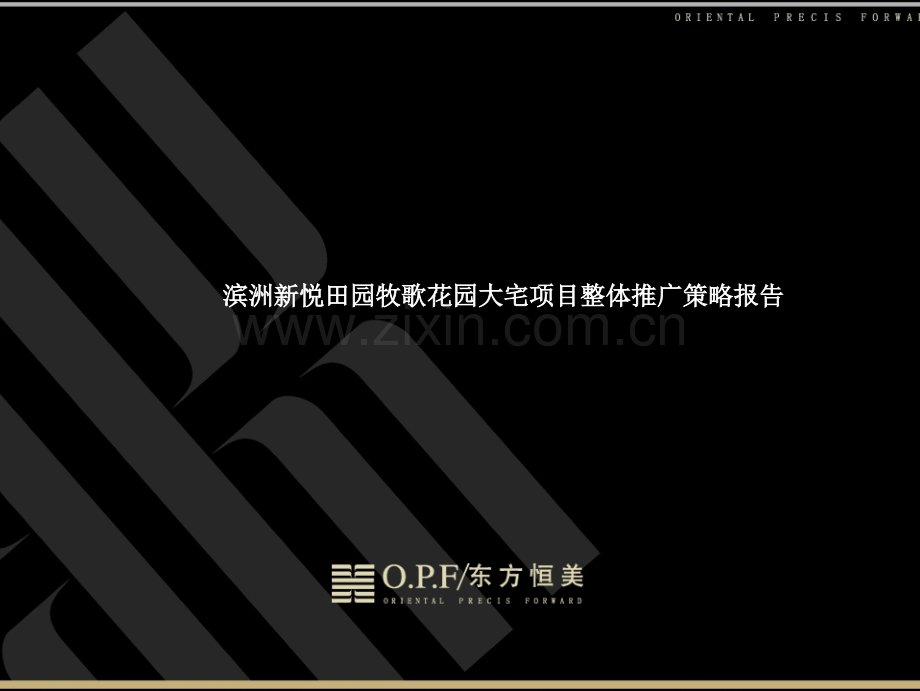 东方恒美山东滨洲新悦田园大宅项目整体推广策略报告148页.pptx_第1页