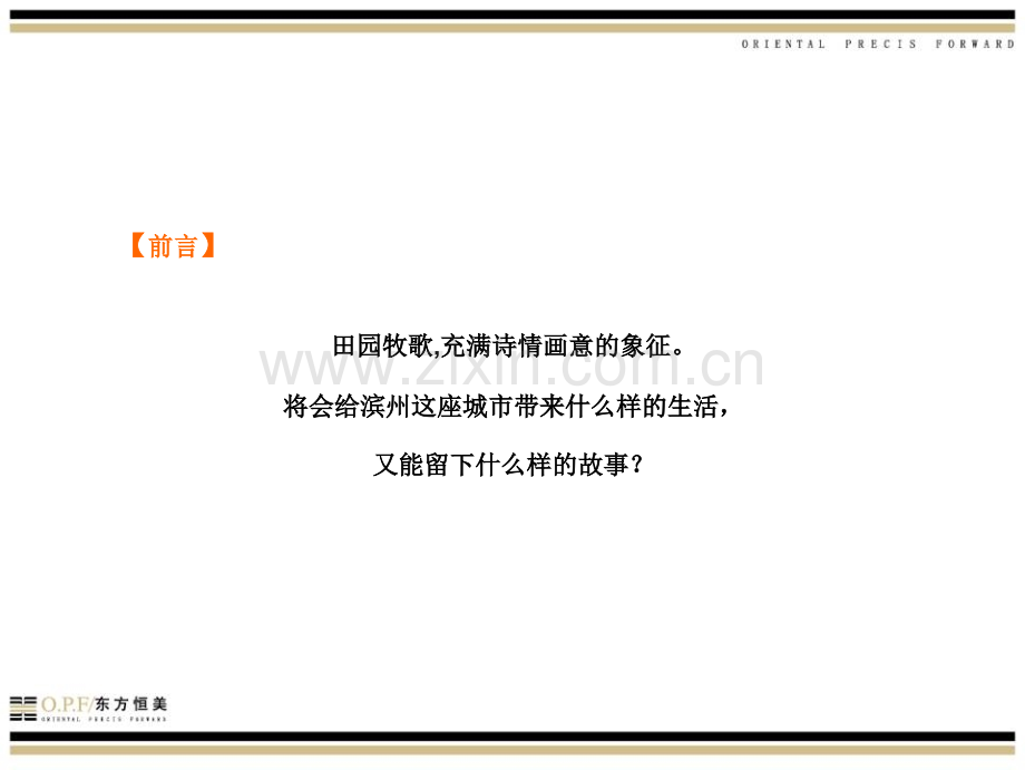 东方恒美山东滨洲新悦田园大宅项目整体推广策略报告148页.pptx_第2页