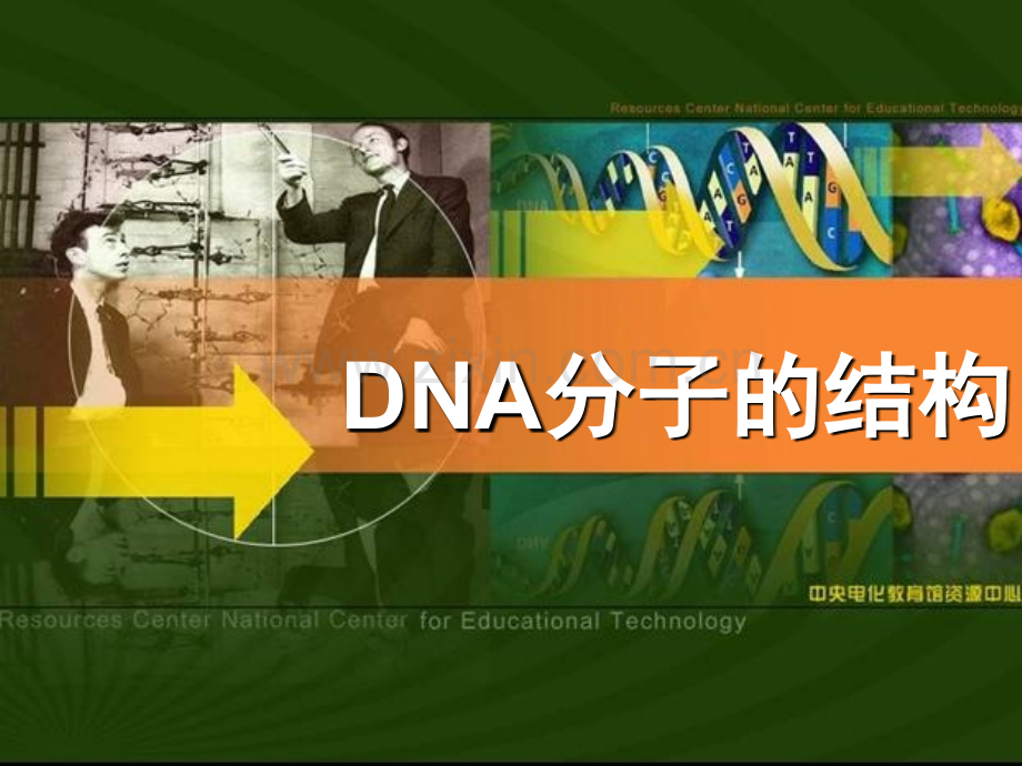 人教版232DNA分子结构.pptx_第1页