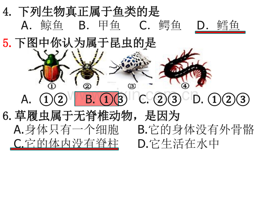 五中八年级生物上期末复习.pptx_第2页