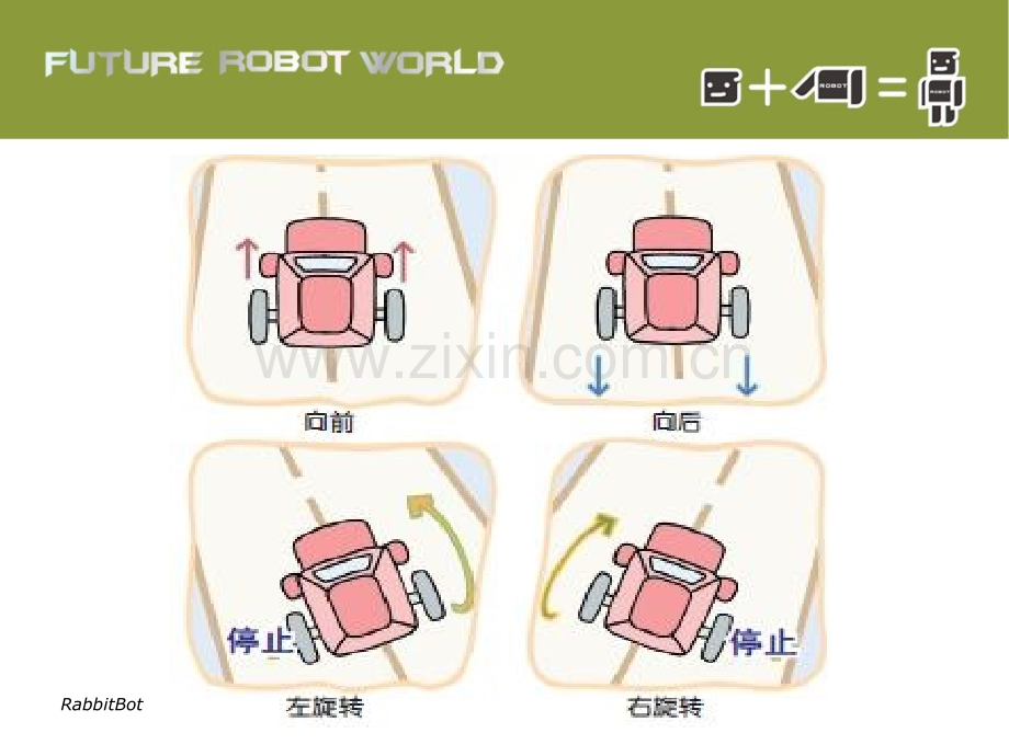 兔子机器人.pptx_第1页