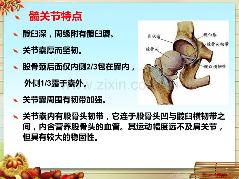 全髋关节置换术后护理.pptx_第3页