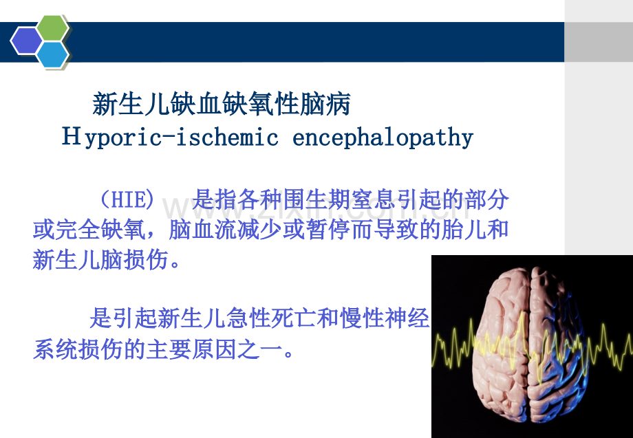 儿科学新生儿缺血缺氧性.pptx_第2页