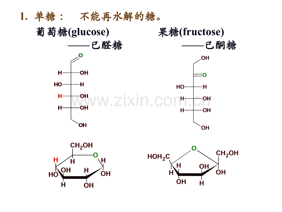 6糖代谢1.pptx_第3页