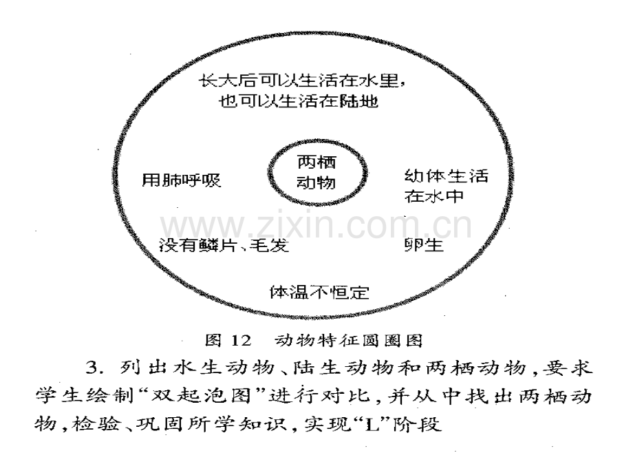 八种思维导图介绍.pptx_第3页