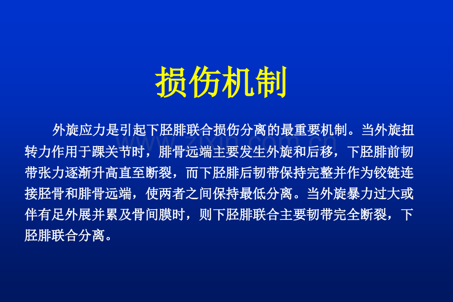 下胫腓联合损伤的诊治.pptx_第3页