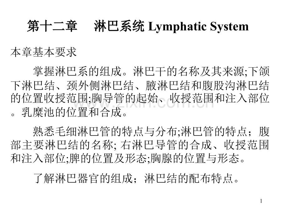 人体解剖学淋巴系.pptx_第1页