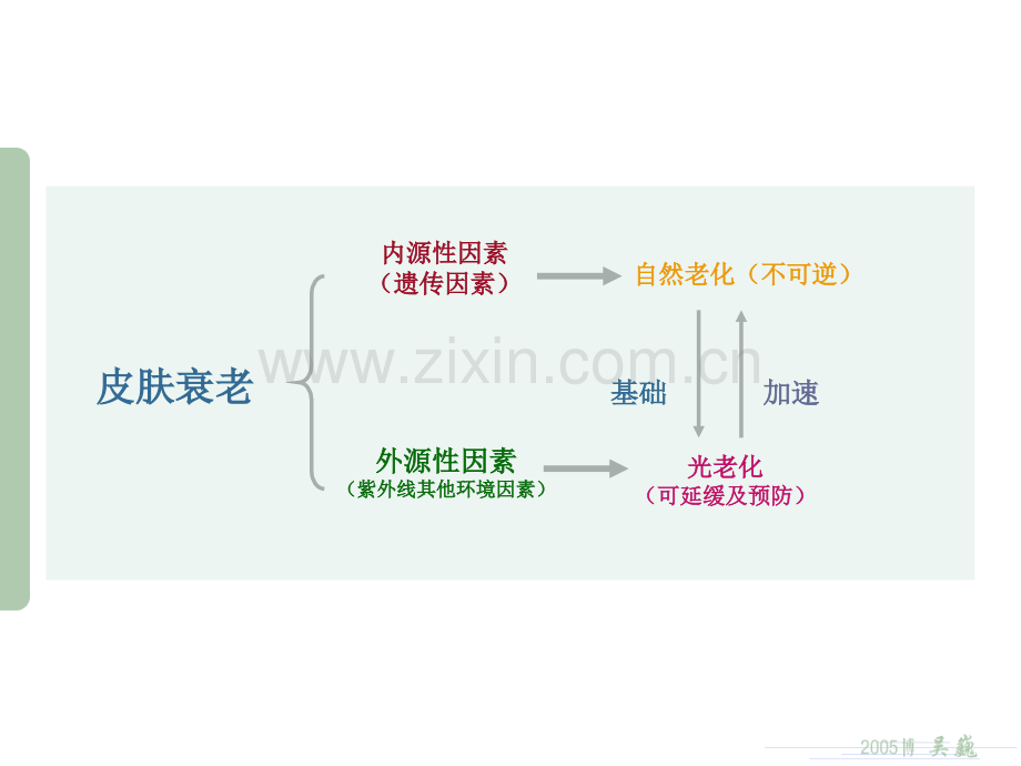 从皮肤衰老到皮肤养护.pptx_第2页