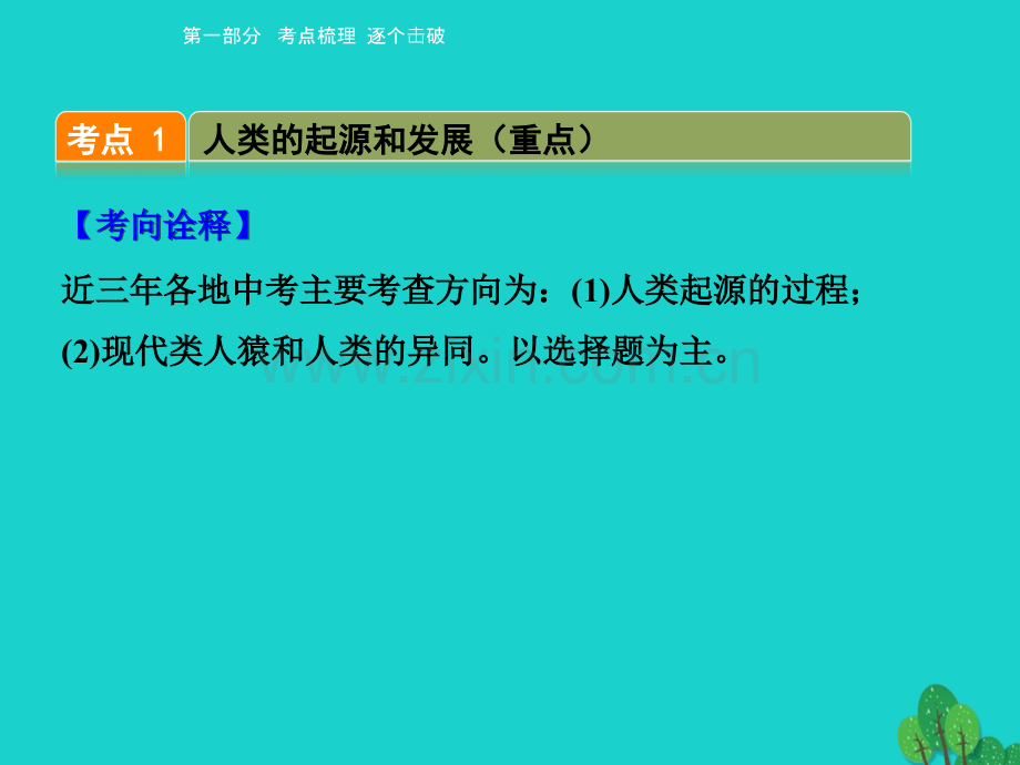 中考生物-考点梳理---人的由来-新人教版.pptx_第2页