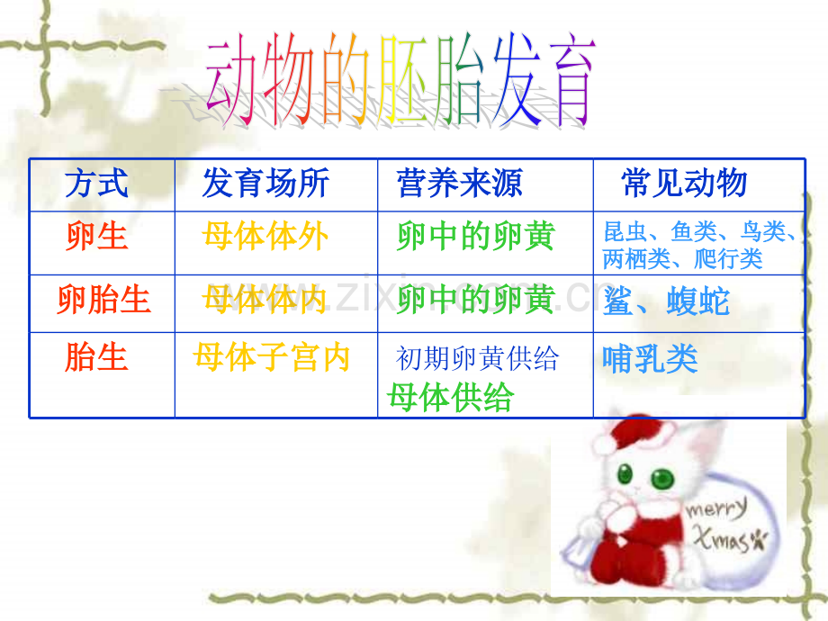 七年级科学种子萌发2.pptx_第3页