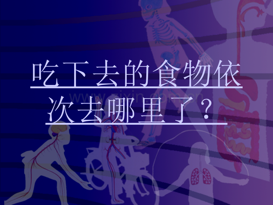 6三年级科学上册食物的消化之一鄂教版.pptx_第2页