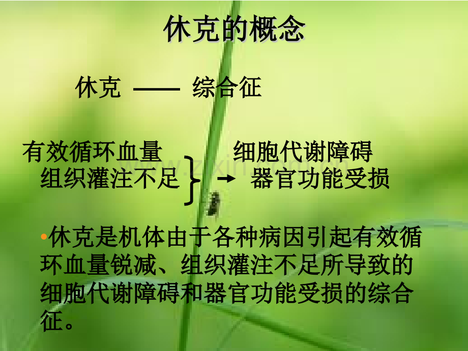 休克患者的观察及护理.pptx_第2页