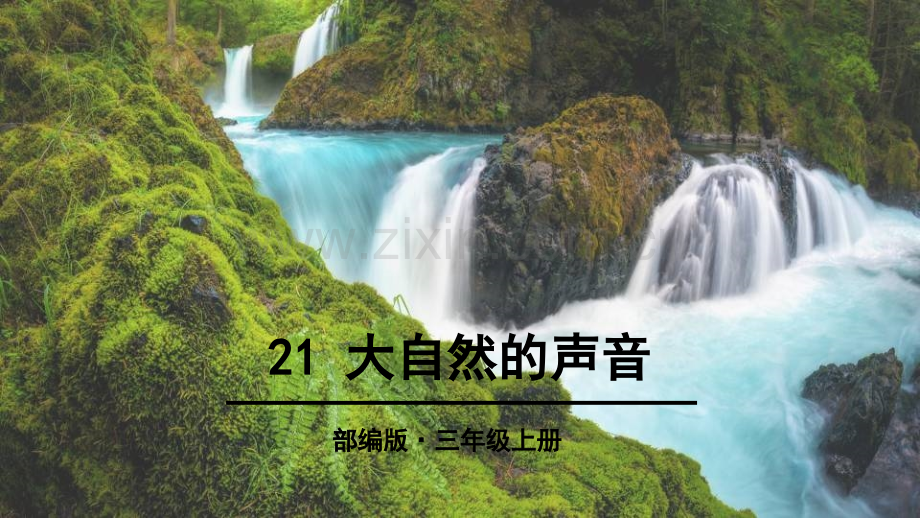 三年级上册语文21大自然的声音人教部编版共40张.pptx_第1页