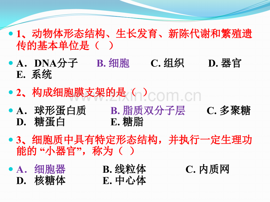 全国执业兽医资格考试--课程辅导.pptx_第1页