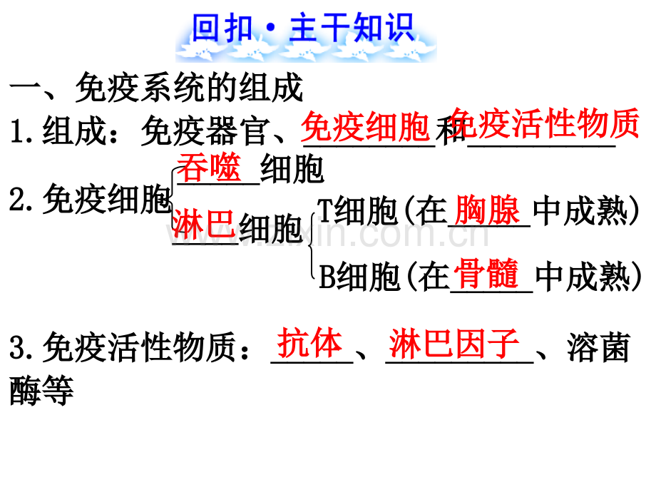 免疫调节1.pptx_第2页