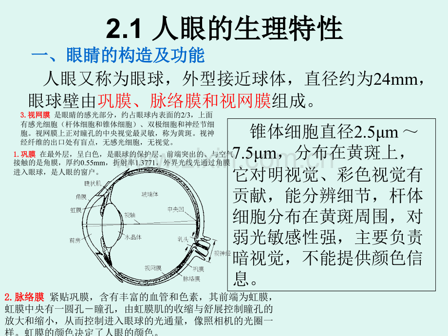 光电显示技术视觉和电视显示基本原理.pptx_第1页