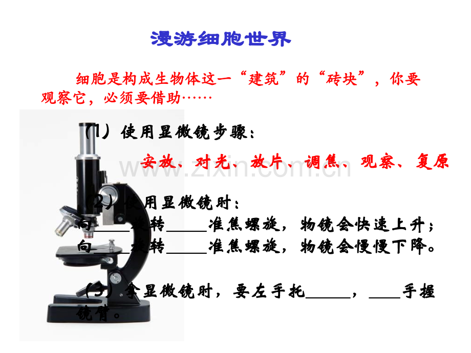 七年级科学生物体的结构层次.pptx_第3页