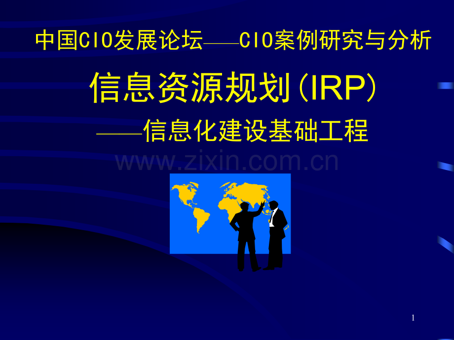 信息资源规划IRP.pptx_第1页